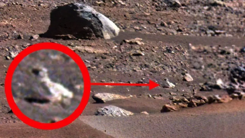 Известный охотник за НЛО обнаружил на Марсе живое существо 