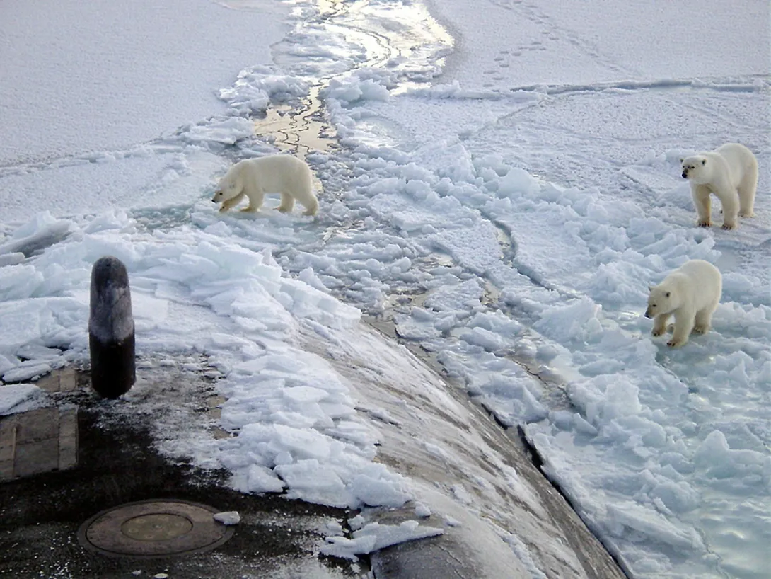 В Арктике всплыли из-подо льда три российских подлодки