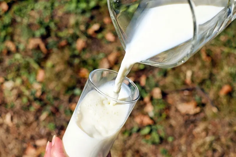 Молоко в России подорожает из-за мусора