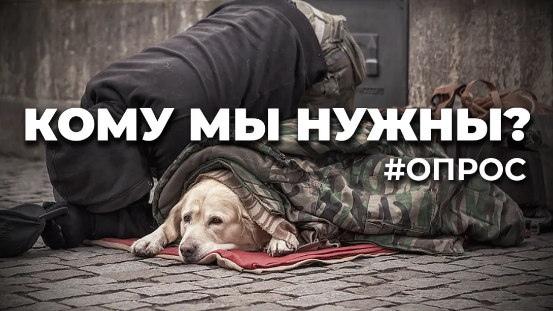Гуманизм = популизм? Опрос ForPost