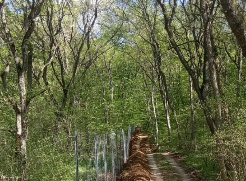 В Крыму участок леса у водохранилища обнесли забором