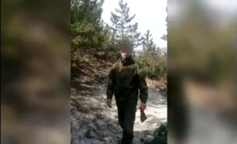 Крымский полицейский в одиночку остановил вырубку можжевельника