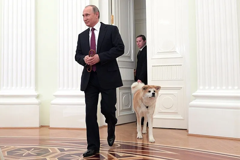 Путин поручил ввести учёт домашних животных
