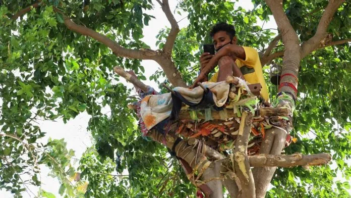 В Индии студент полторы недели просидел на дереве из-за коронавируса