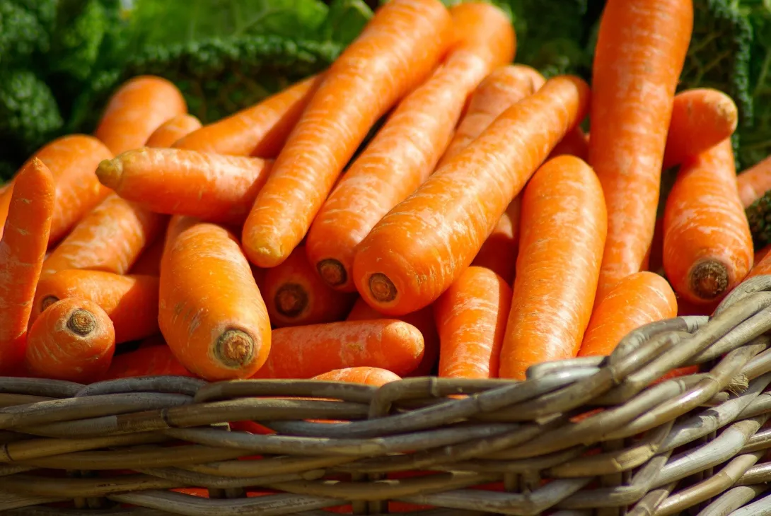 Раскрыто неожиданное полезное свойство моркови