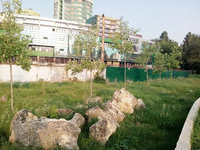 Строители захватили часть главного парка в столице Крыма незаконно