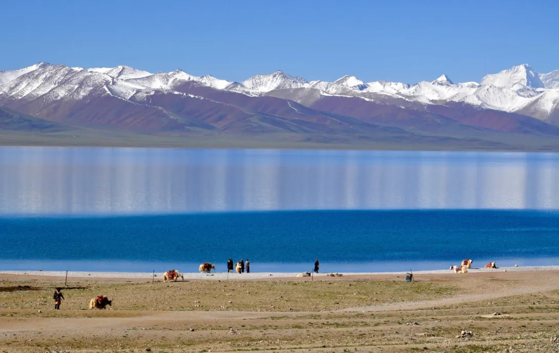 В леднике Тибета выявлены 33 вируса возрастом 15000 лет