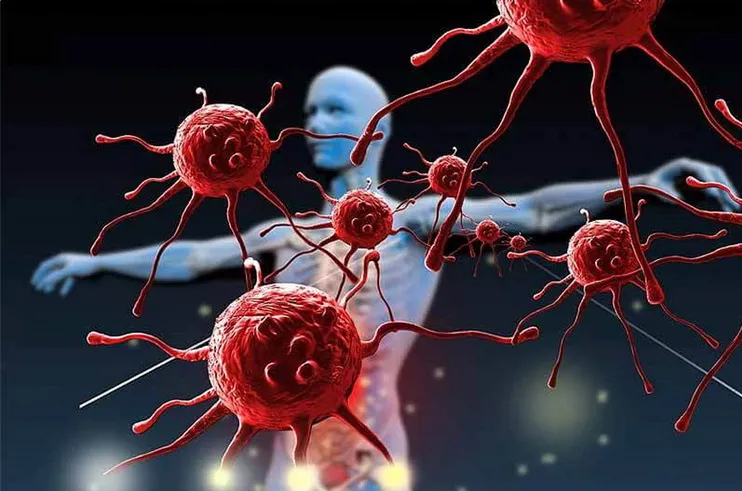Ученые раскрыли главную загадку врожденного иммунитета