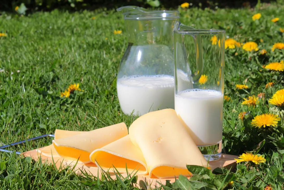 Учёные раскрыли неожиданный побочный эффект от молока