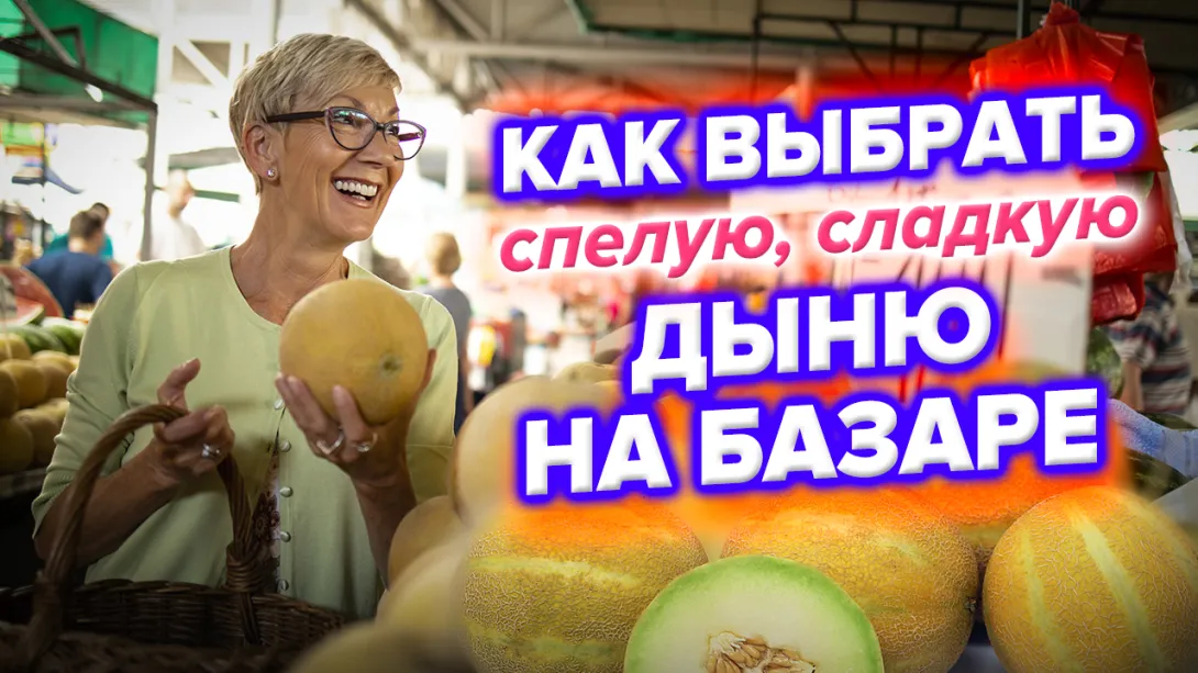 Как не ошибиться при покупке дыни? Советы севастопольского продавца 
