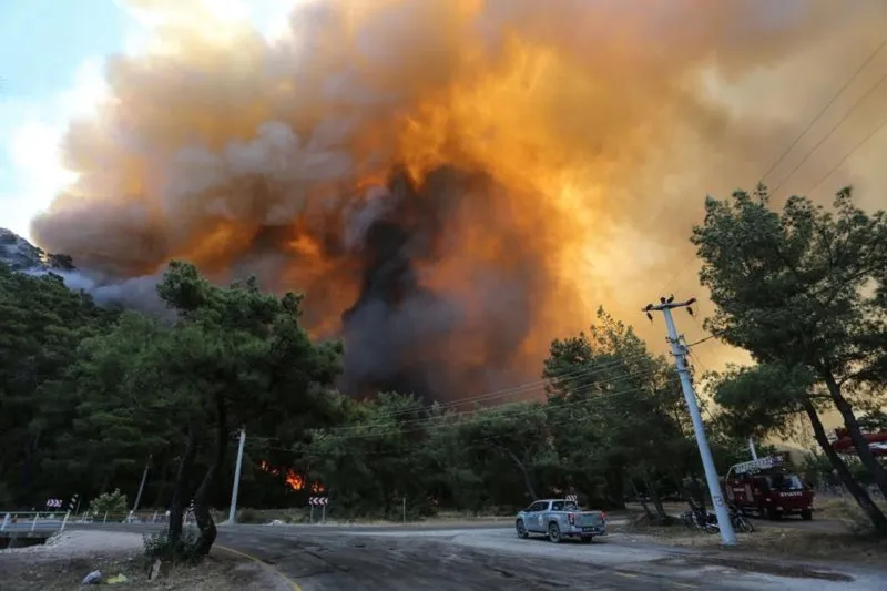 Стало известно, кто и зачем устроил масштабные лесные пожары в Турции