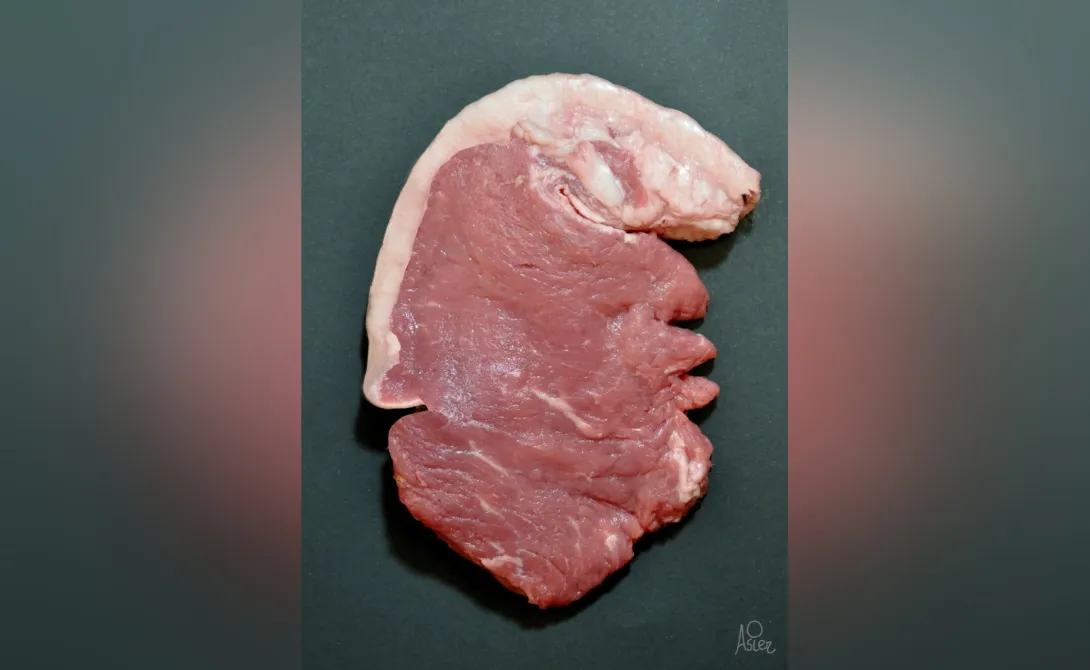 Мужчина потратил полгода, чтобы сделать фотографию мяса