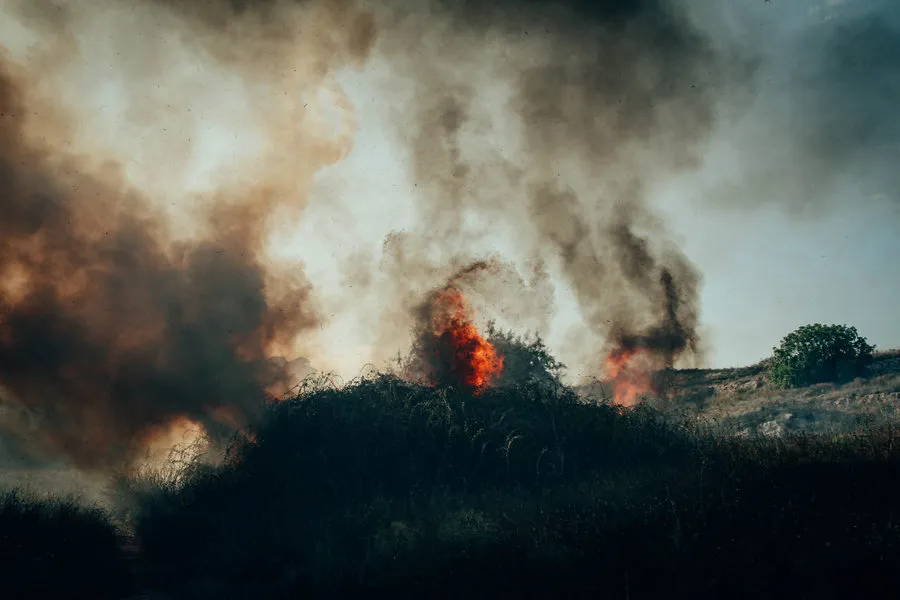 Крупные пожары в Севастополе охватили почти 6 тысяч квадратных метров земли