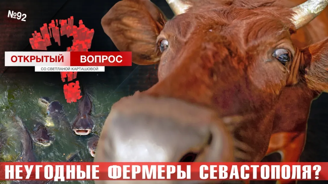 Открытый вопрос: Неугодные фермеры Севастополя