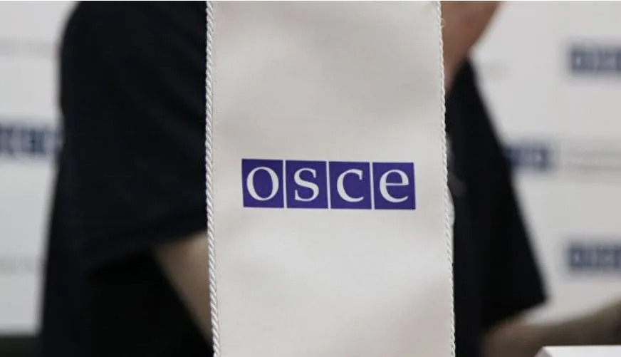 ОБСЕ сделала заявление о преследовании Зеленским СМИ на Украине