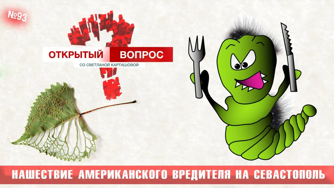 Американский вредитель атакует Севастополь