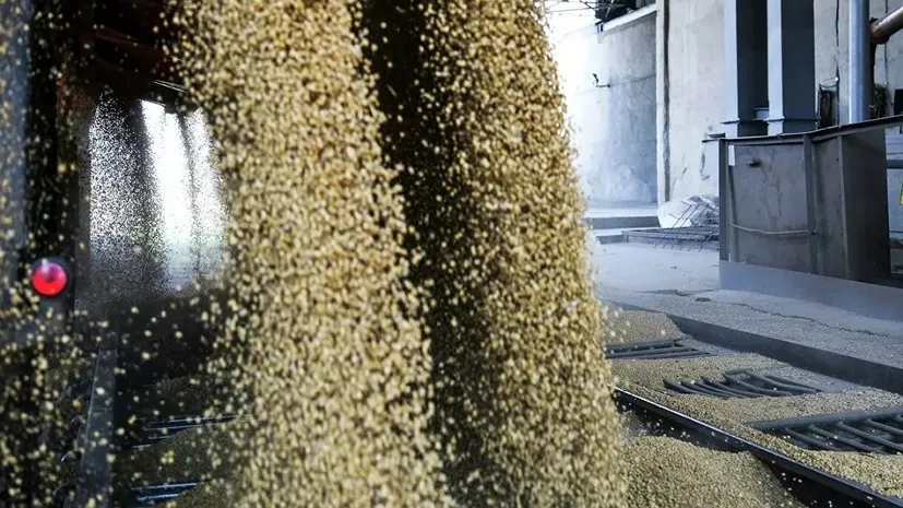 Госрезерв Украины заявил о критически низком уровне запасов зерна