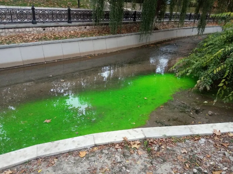 Главная река Крыма позеленела