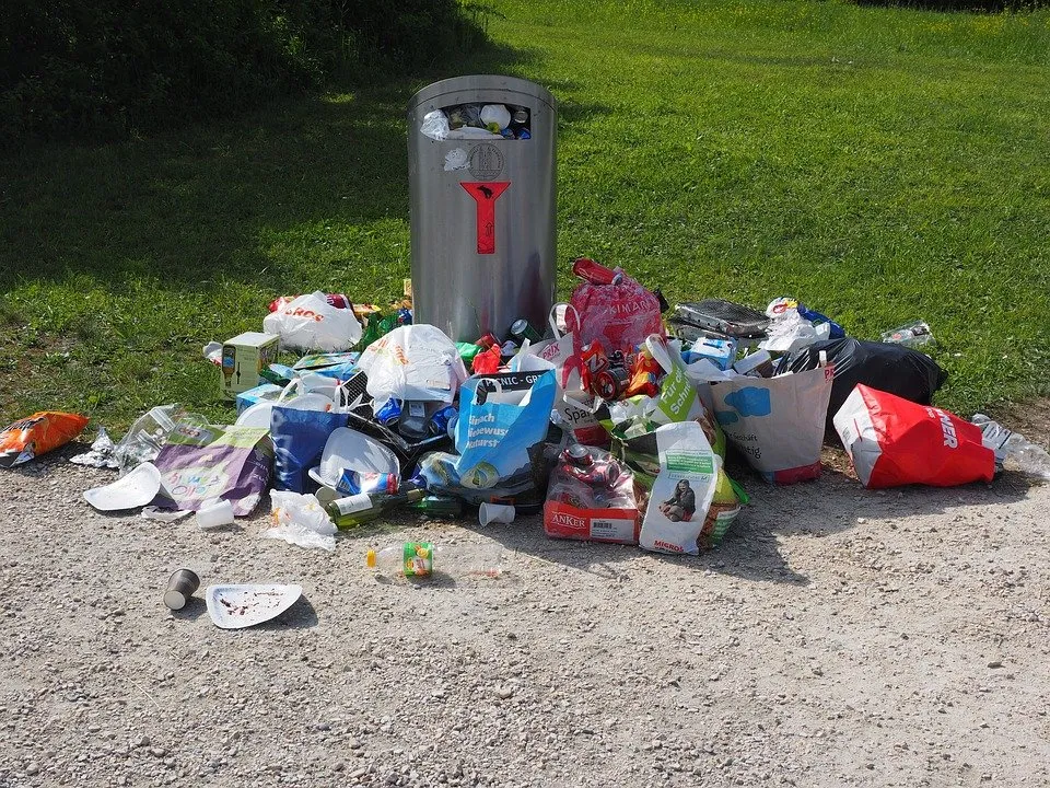 Севастополец оштрафован за выброшенный мимо контейнера мусор