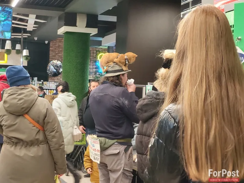 Турист из Новосибирска гуляет по Крыму с котом на шляпе
