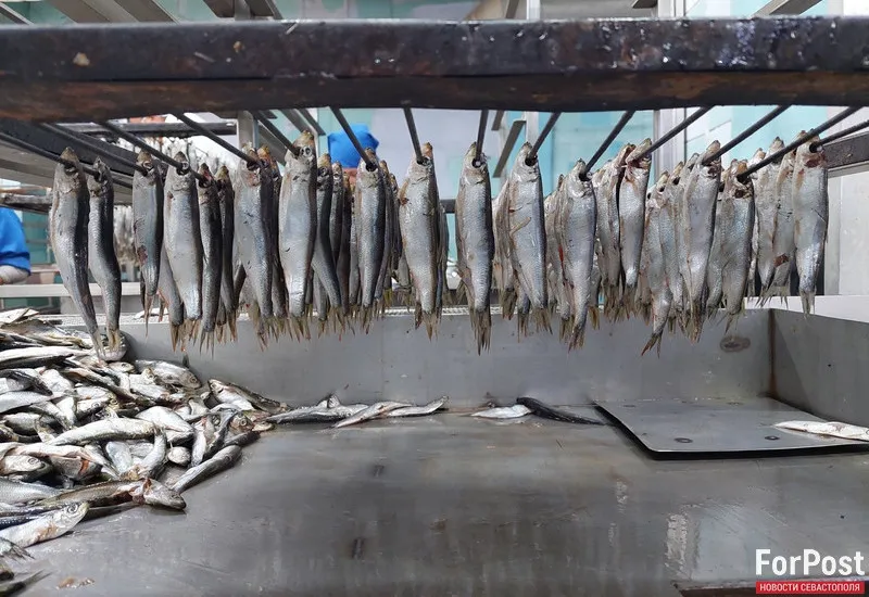Севастопольцев на Новый год ждет рыбный стол 