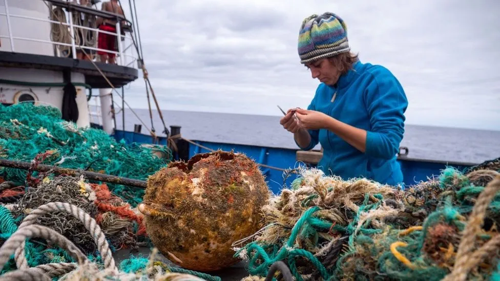 Загрязнение океана пластиком привело к неожиданному результату