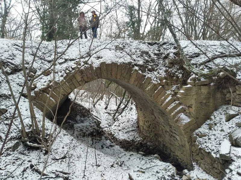 В крымских лесах разрушается видевший Кутузова 200-летний мост