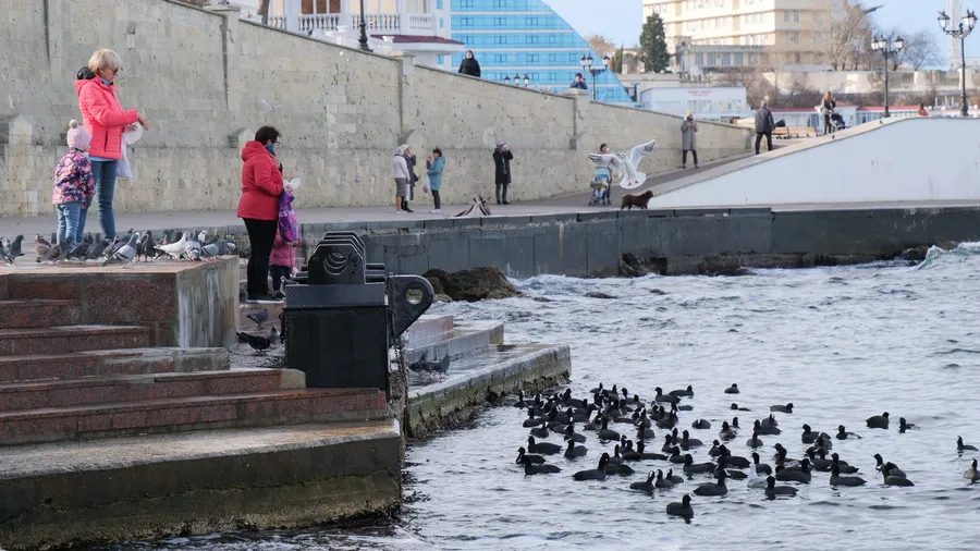 В Севастополь приходит бархатная зима