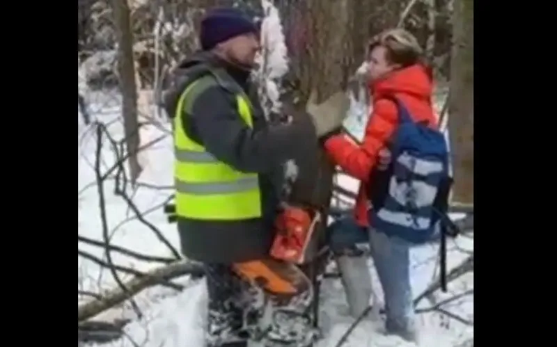 Прораб велел отпилить ногу женщине, которая собой защищала дерево от вырубки