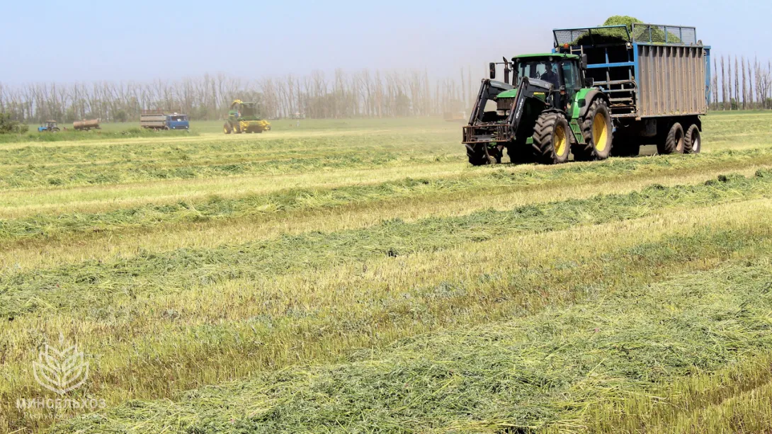 Успехи крымских аграриев не вызывают головокружения