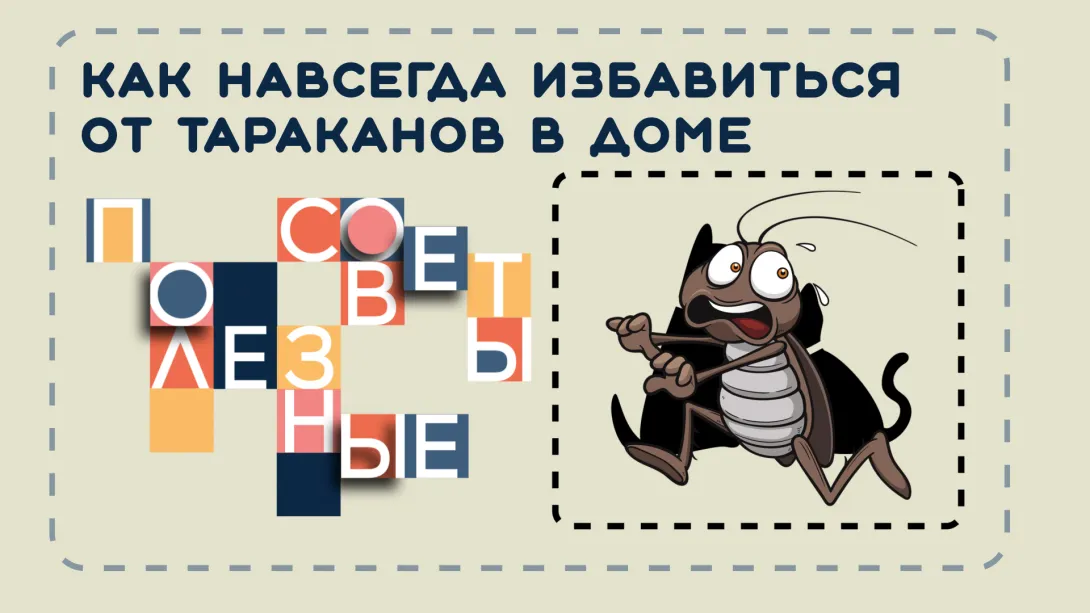 Как избавиться от тараканов в квартире раз и навсегда