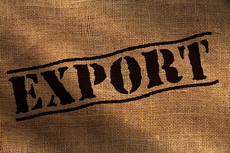 Как повлияет на экономику России запрет на экспорт своих товаров