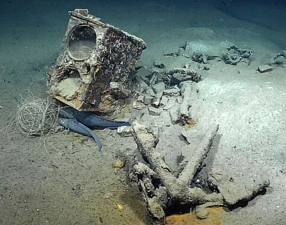 В Мексиканском заливе обнаружили уникальное судно, затонувшее 190 лет назад