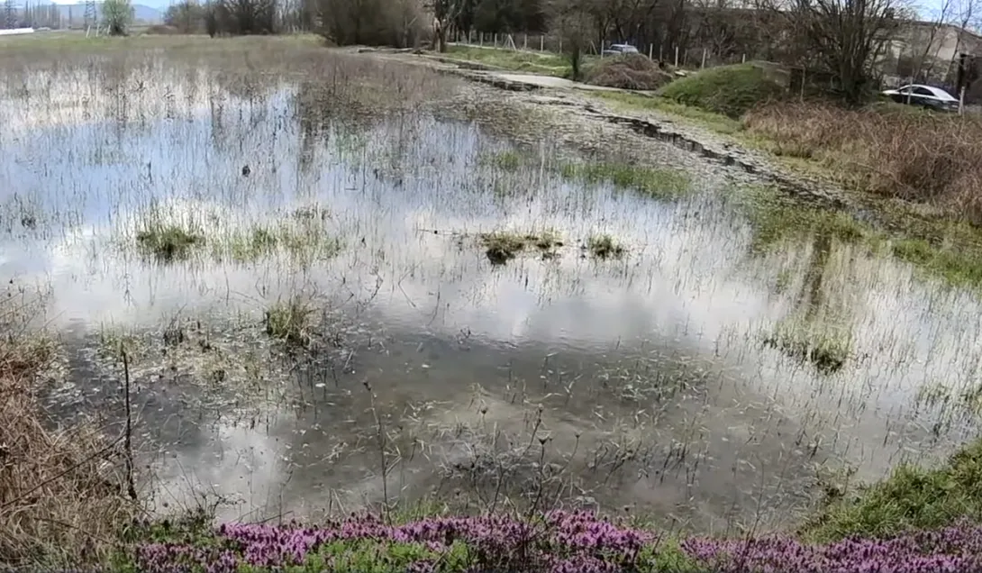 Севастопольские фермеры хотят судиться с Водоканалом из-за затопленных угодий