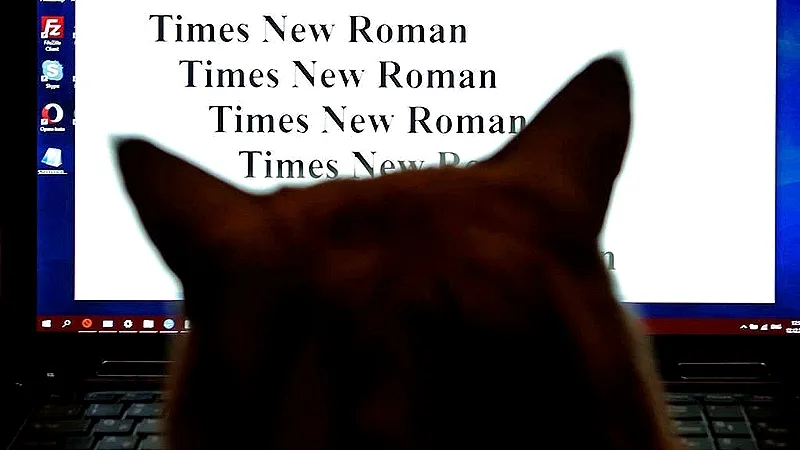 Почему закрытие доступа к Times New Roman не такая смешная санкция, как кажется