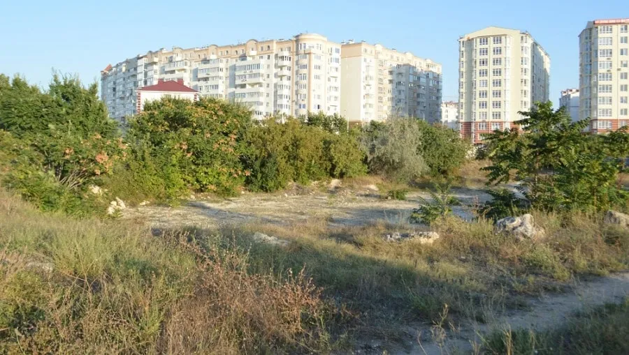 Фисташки у бухты Круглой в Севастополе официально стали памятником природы