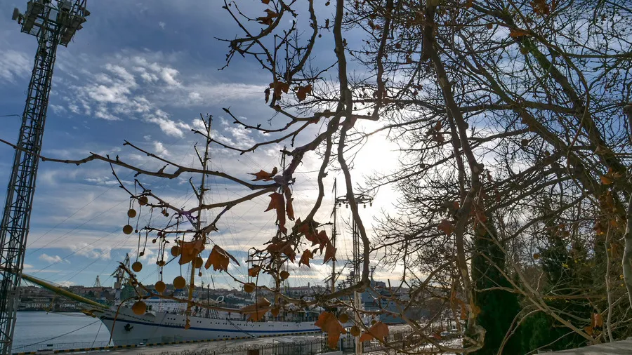 Тёплая весна возвращается в Севастополь