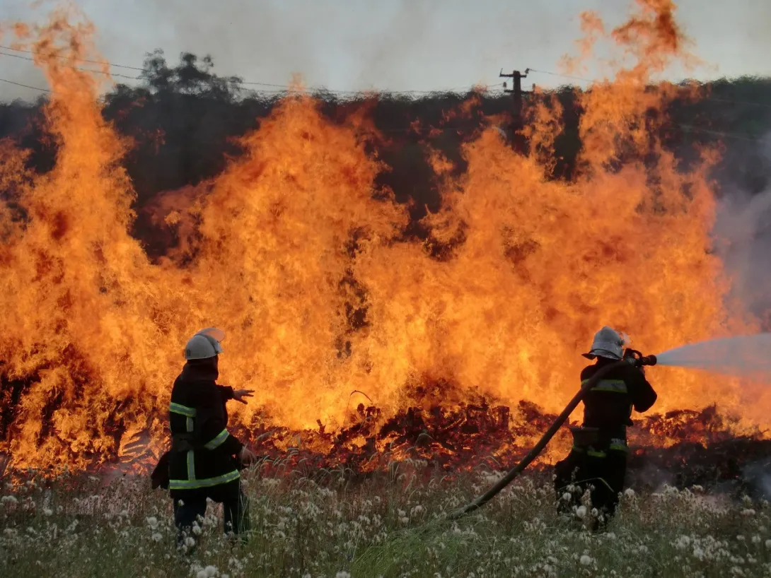 В Севастополе начались возгорания травы 