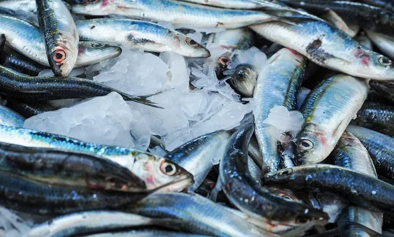 У крымских предприятий изъяли 33 партии некачественной рыбы