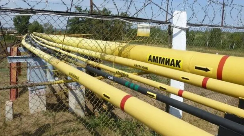 Экс-главу "Укрхимтрансаммиака" задержали за проигрыш России в суде