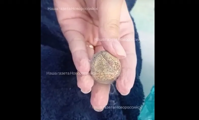 Дымящийся шар со дна Чёрного моря взорвался в руках туристов
