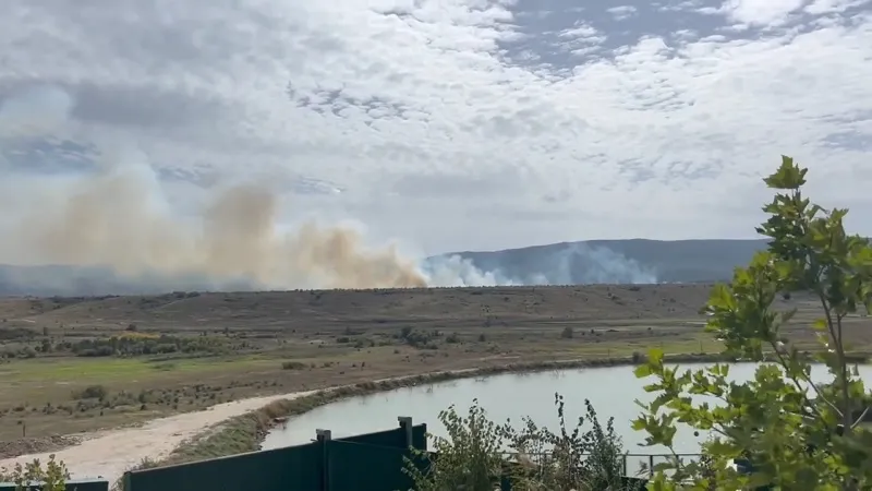 Крупный пожар тушат у границы парка львов в Крыму