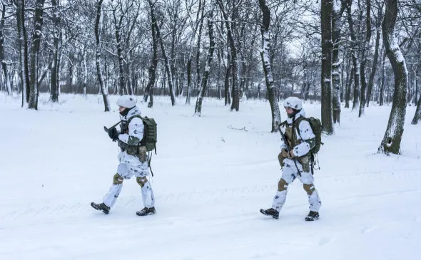 Замглавы Пентагона Кол: Украина должна сама решить, будет ли она пытаться захватить Крым