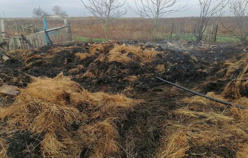По горячим следам в Крыму нашли поджигателя сена