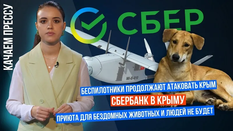 «Качаем прессу»: БПЛА над Севастополем, Сбербанк в Крыму, приюта для бездомных людей и животных в Севастополе не будет