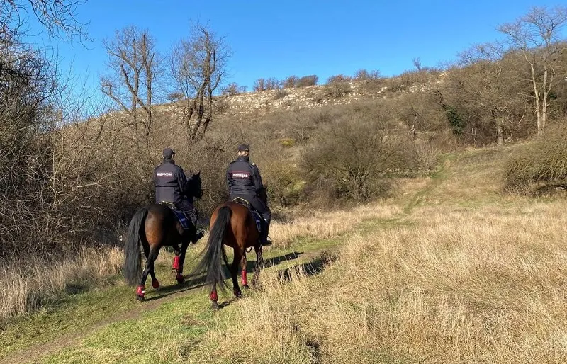 За что будет отвечать конная полиция в Севастополе