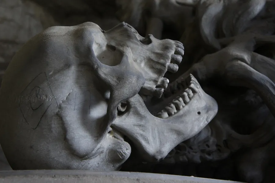 В районе улицы Хрусталева в Севастополе найден скелет мужчины