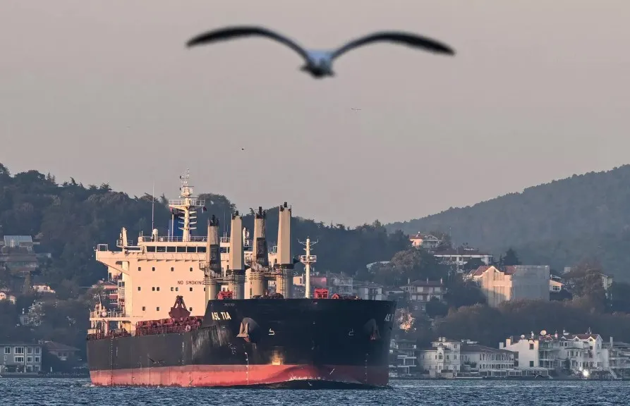 О конфликте на Чёрном море: что делать РФ с зерновой сделкой