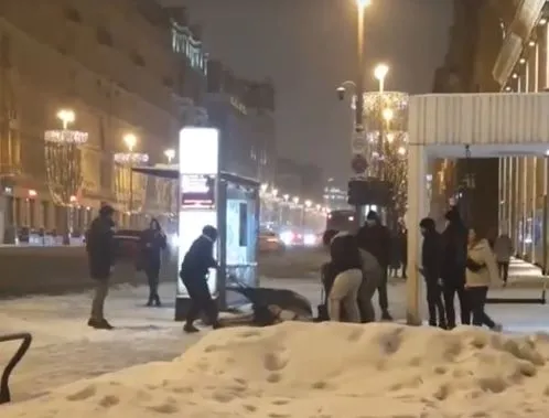 В центре Москвы лошадь убило током