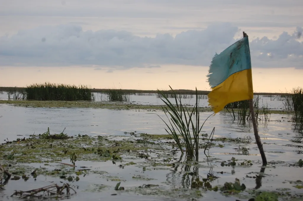 Украину уже растаскивают на куски?